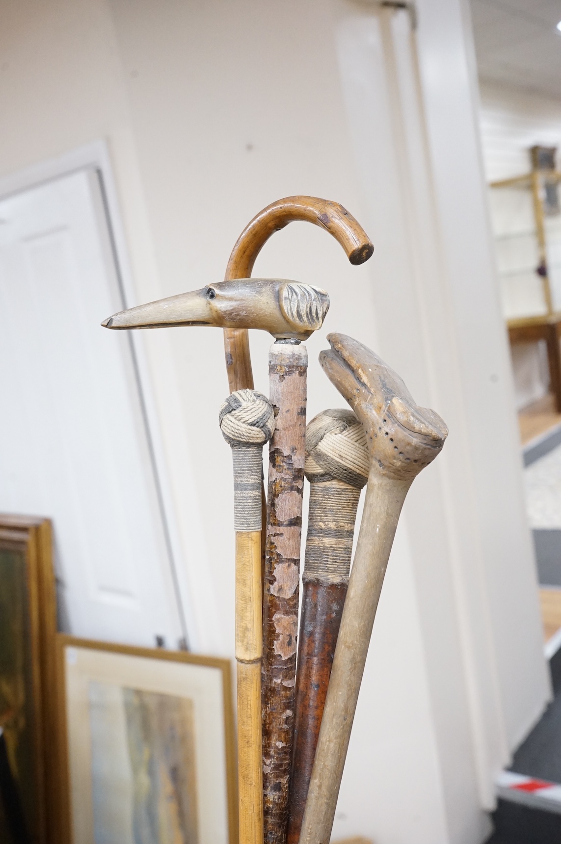 Five walking sticks to include two with rope work handles and one carved in the form of a dog's head, largest 94cm in length